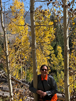 Boreas Pass with fall colors in Breckenridge, CO